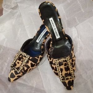 Manolo Blahnik Leopard Shoes 36 6 New in Box